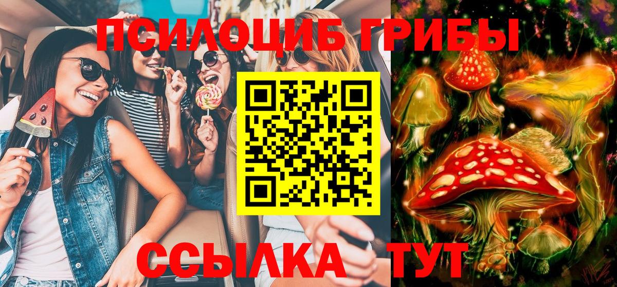 Чайковский  Галлюциногенные грибы MAGIC MUSHROOMS  Вход с VPN 