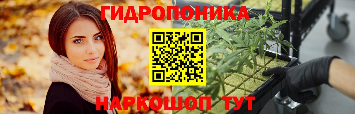 Бошки Шишки план  Вход с VPN  Бошки марихуана планчик  Чайковский  Марихуана Ganja 